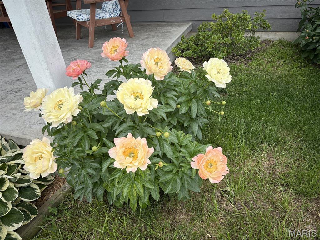 13033 Shafer Road Property Photo 59