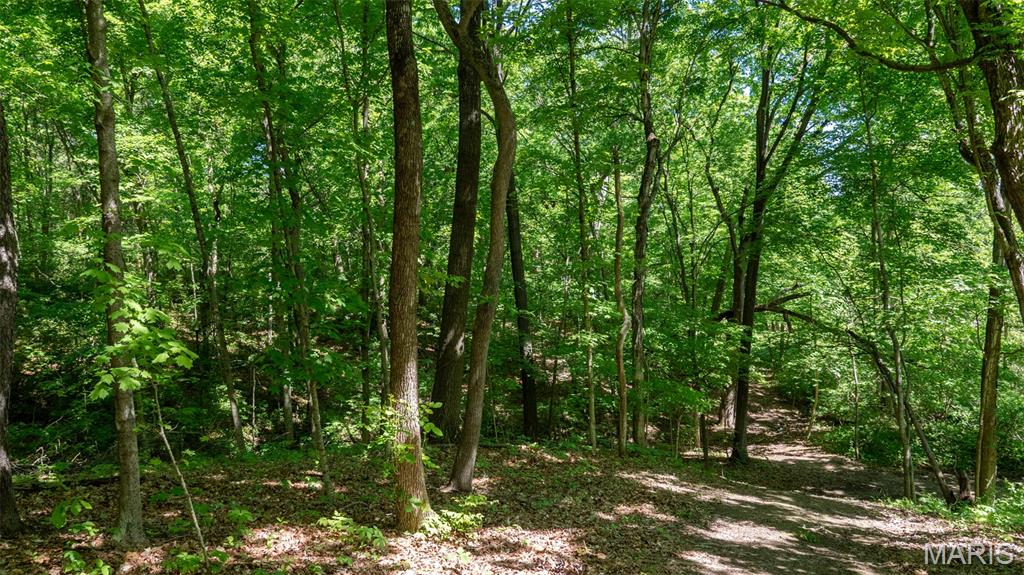 1393 Spring Drive Property Photo 4