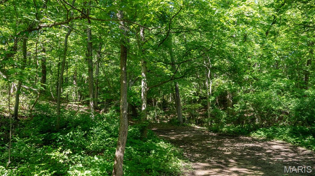 1393 Spring Drive Property Photo 20