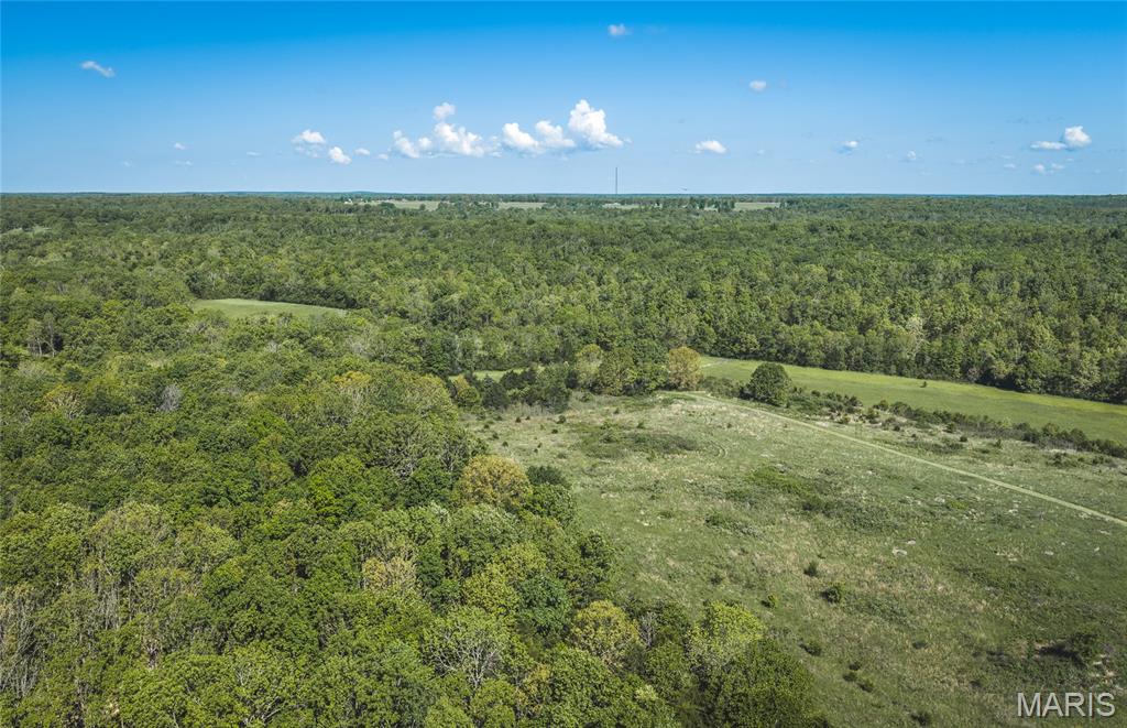 1 Highway Ff Property Photo 4