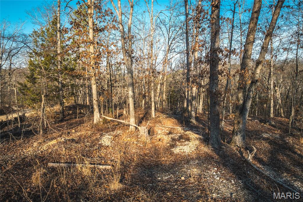 000 County Road 19-208 Property Photo 4