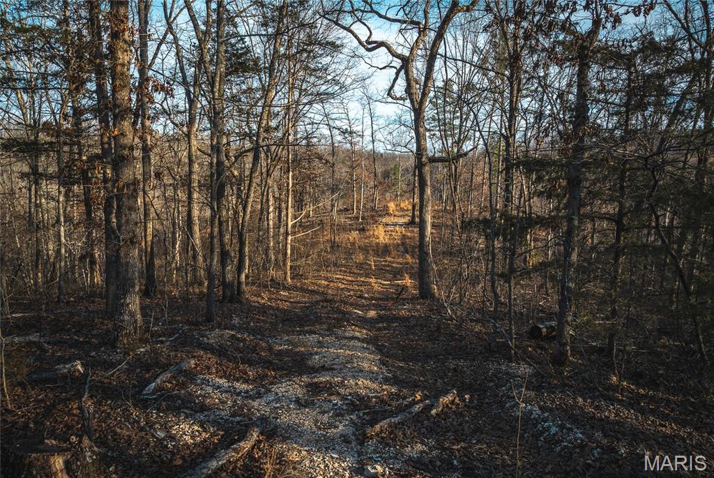 000 County Road 19-208 Property Photo 7