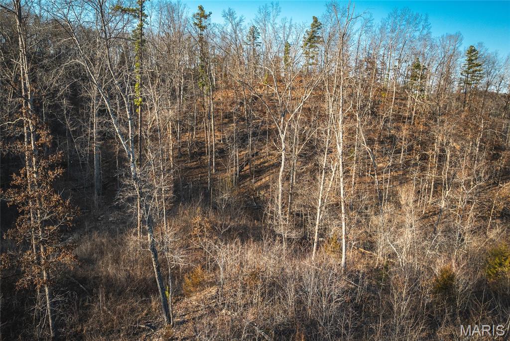 000 County Road 19-208 Property Photo 11
