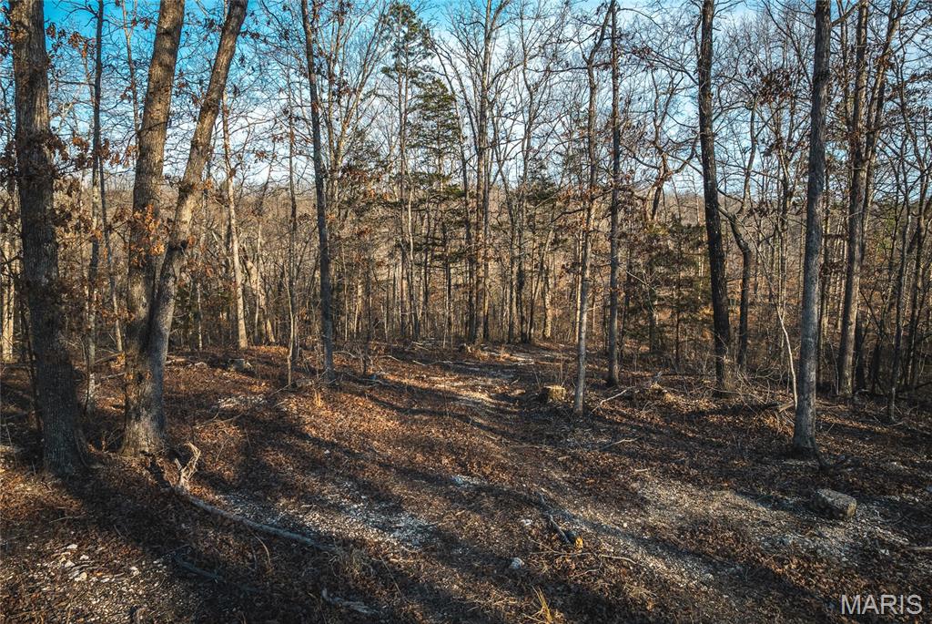 000 County Road 19-208 Property Photo 30