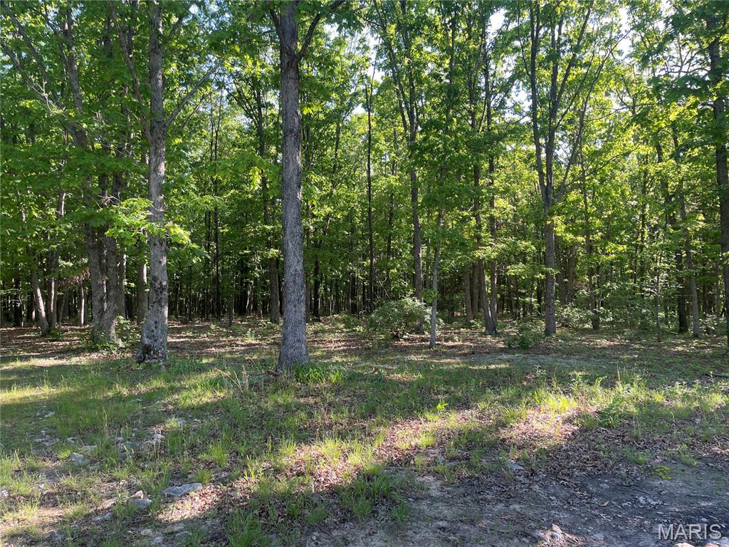 739 County Road 6250 Property Photo 10