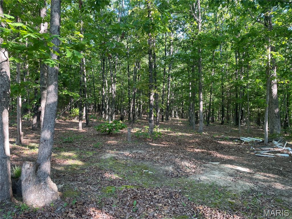 739 County Road 6250 Property Photo 11
