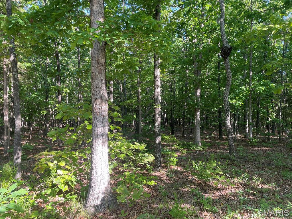 739 County Road 6250 Property Photo 12