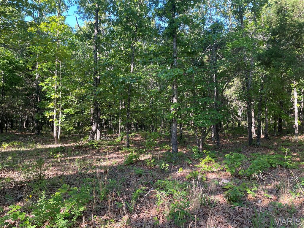 739 County Road 6250 Property Photo 13