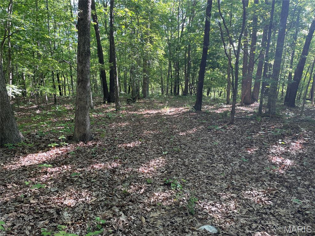 739 County Road 6250 Property Photo 25