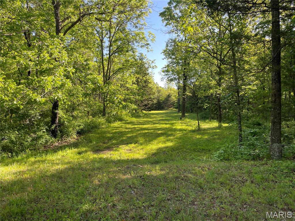 739 County Road 6250 Property Photo 31
