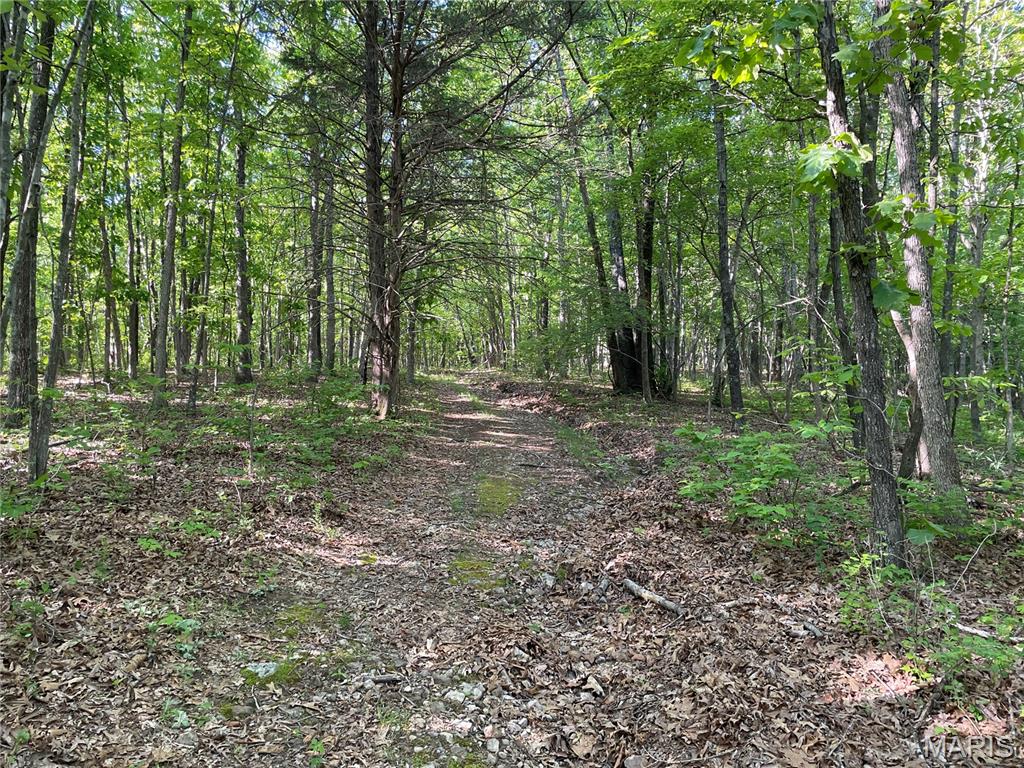 739 County Road 6250 Property Photo 34