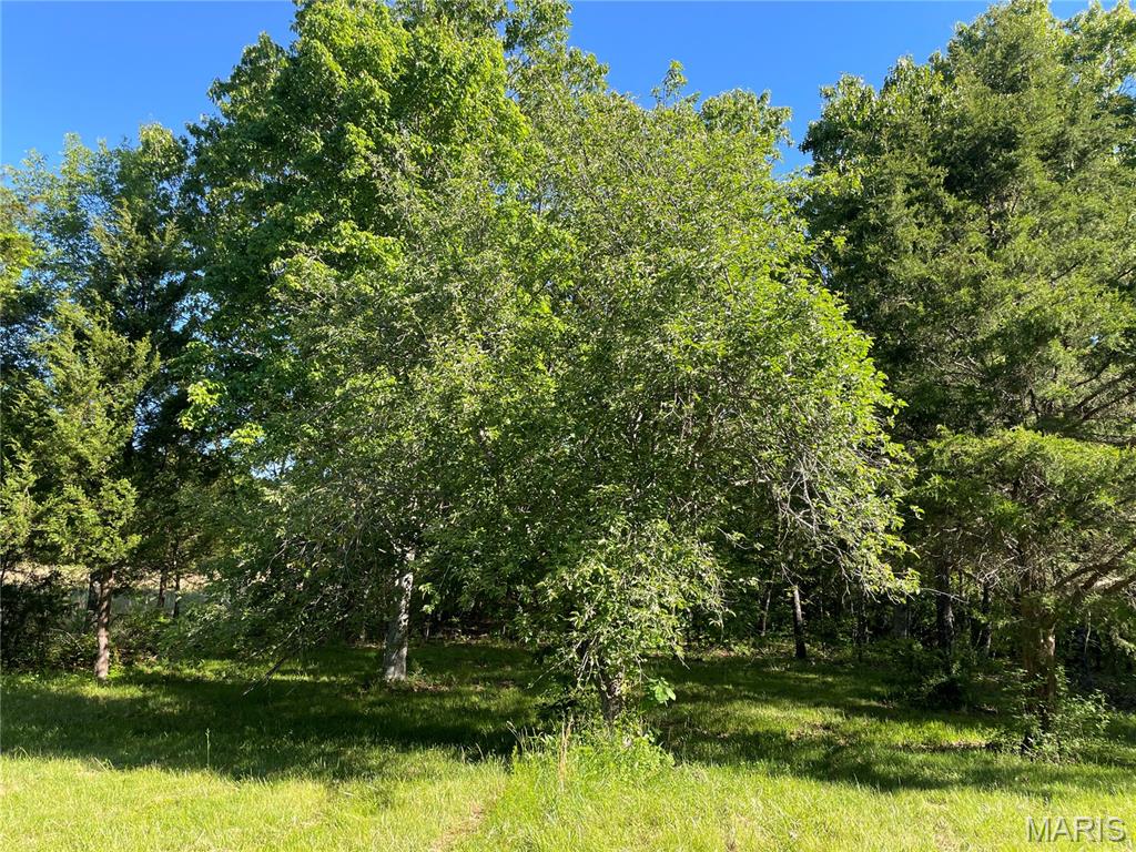 739 County Road 6250 Property Photo 41