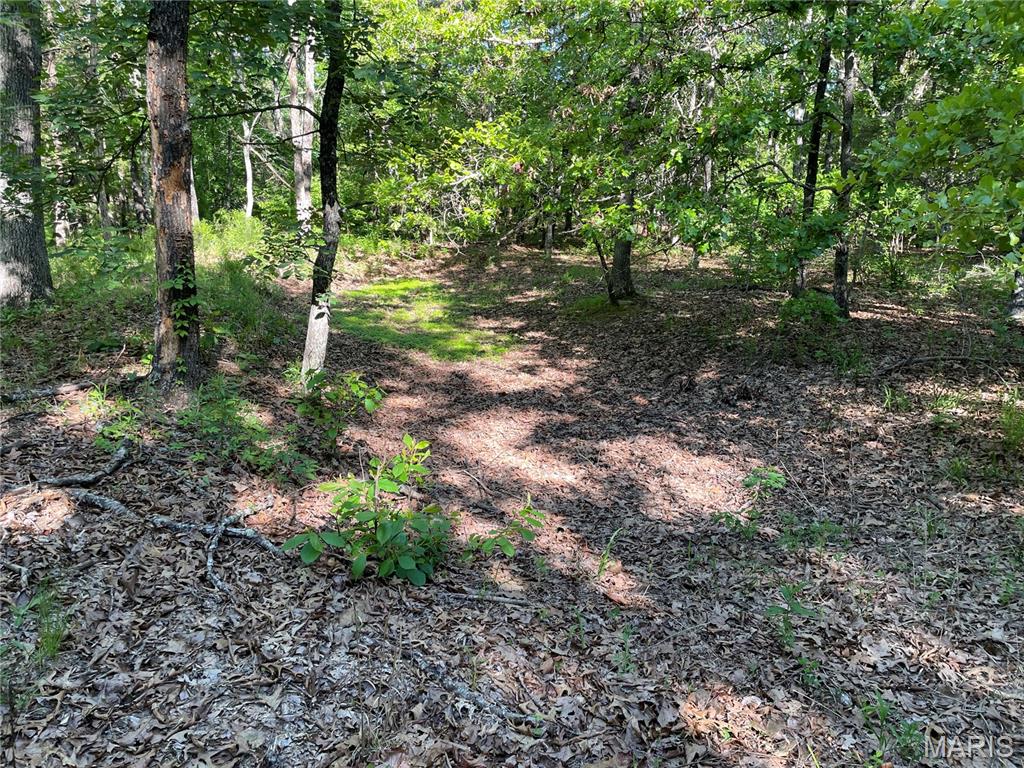 739 County Road 6250 Property Photo 42