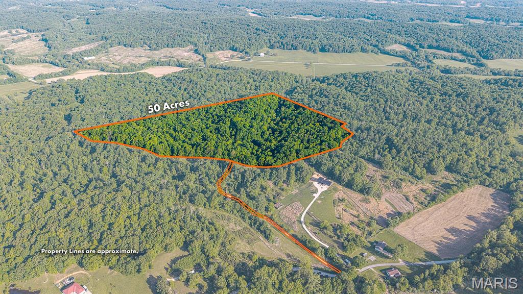 000 County Road 606 Property Photo 1