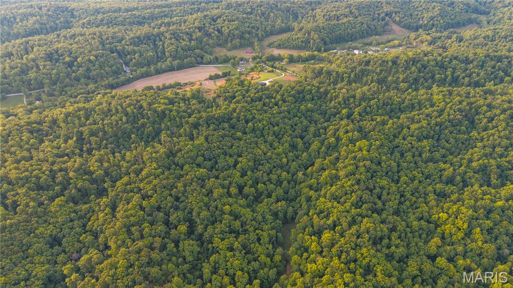 000 County Road 606 Property Photo 10