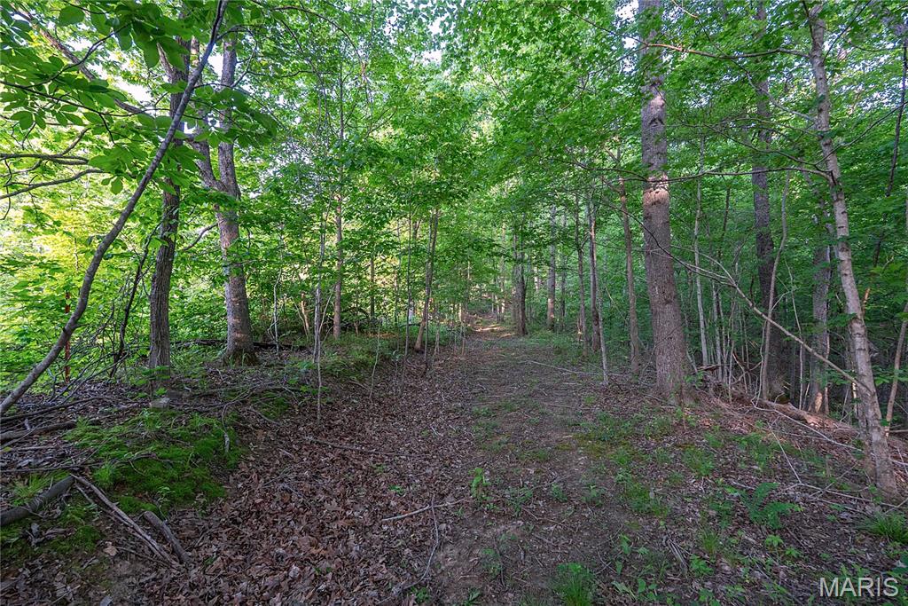 000 County Road 606 Property Photo 27
