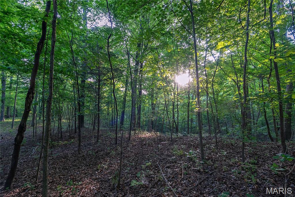 000 County Road 606 Property Photo 29