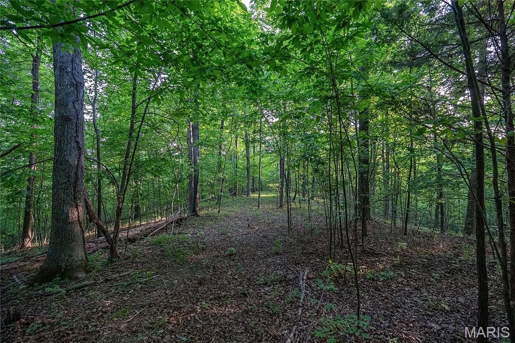 000 County Road 606 Property Photo 30