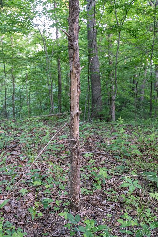 000 County Road 606 Property Photo 34