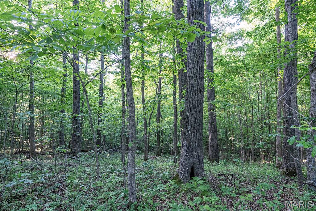 000 County Road 606 Property Photo 35
