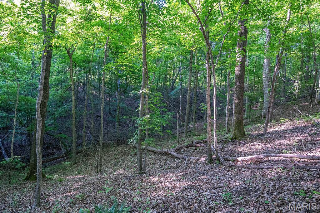 000 County Road 606 Property Photo 45