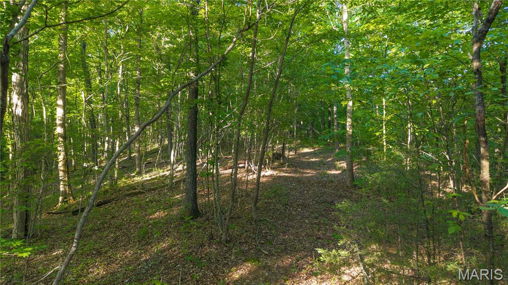 000 County Road 606 Property Photo 47