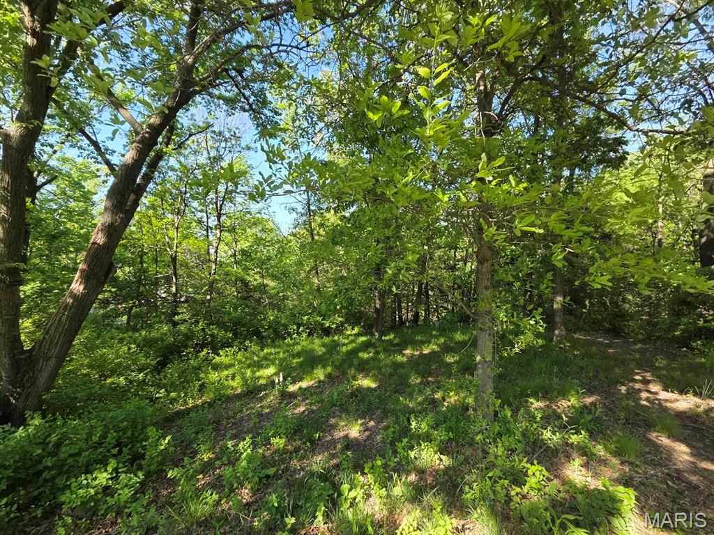 403 Constantz Drive Property Photo 51