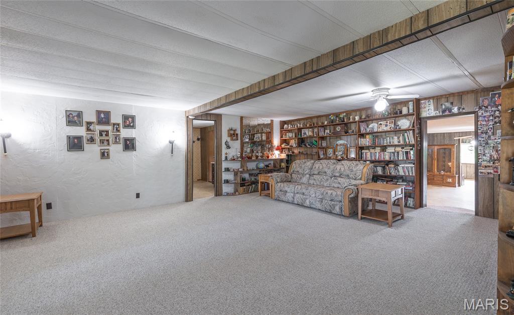 474 Highway Zz Property Photo 14