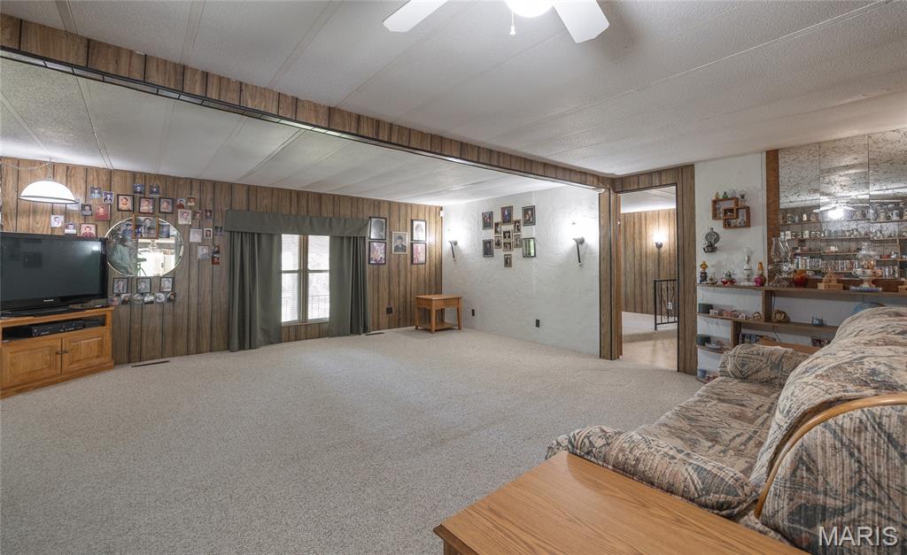 474 Highway Zz Property Photo 15