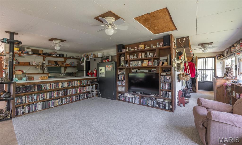 474 Highway Zz Property Photo 26