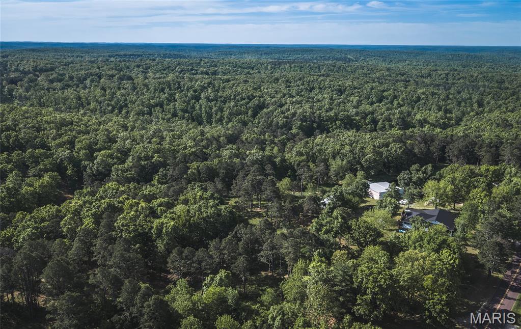 474 Highway Zz Property Photo 43