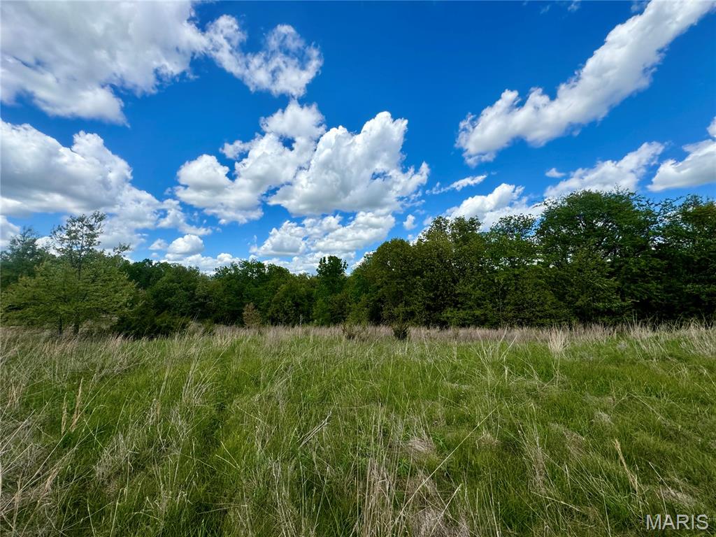 153 +/- Ac Aspen Drive Property Photo 4