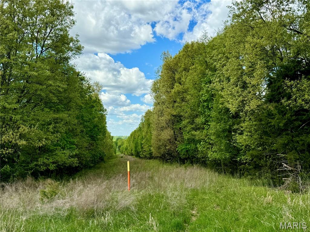 153 +/- Ac Aspen Drive Property Photo 13