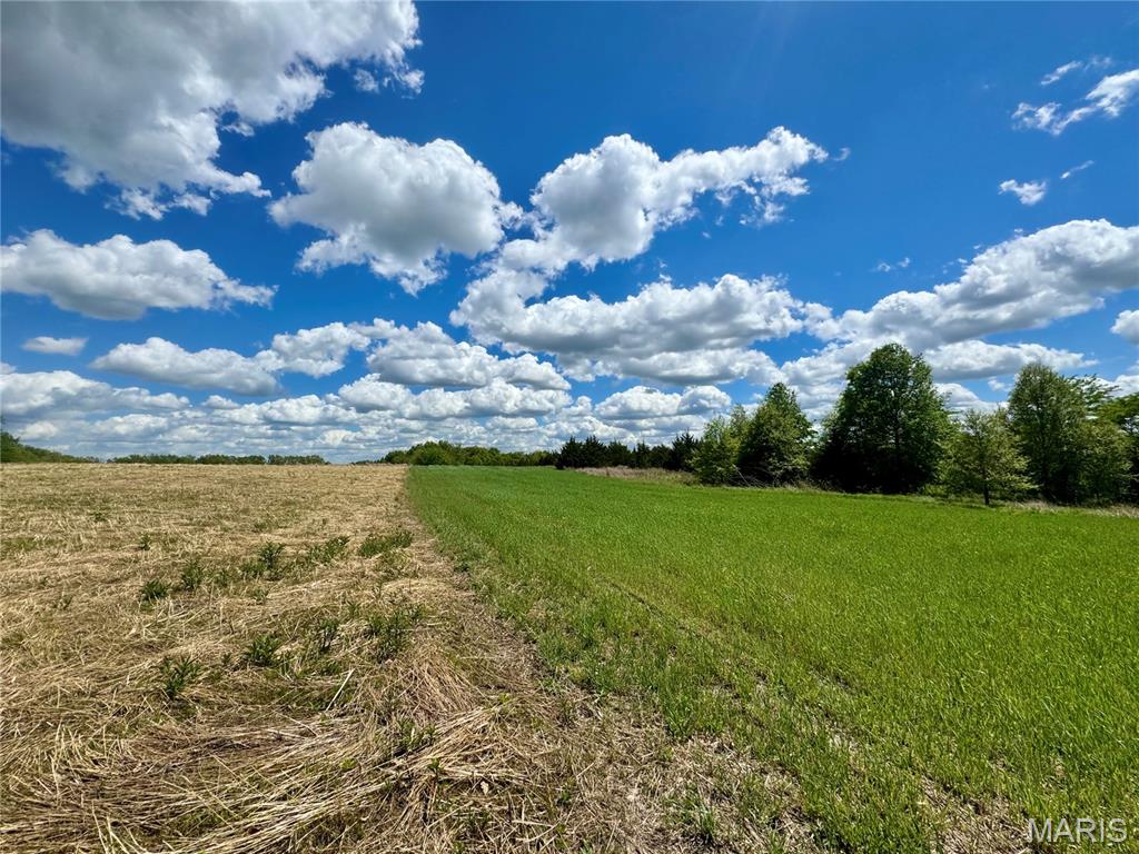153 +/- Ac Aspen Drive Property Photo 22