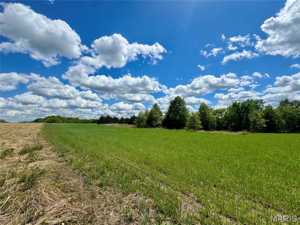 153 +/- Ac Aspen Drive Property Photo 27