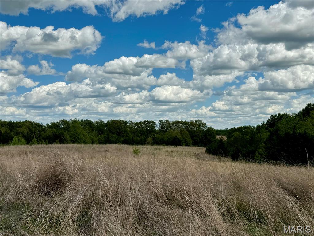 153 +/- Ac Aspen Drive Property Photo 30