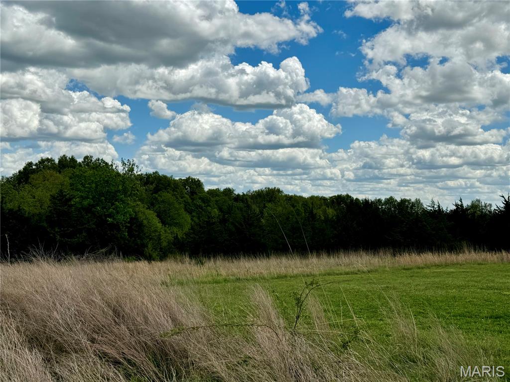 153 +/- Ac Aspen Drive Property Photo 31