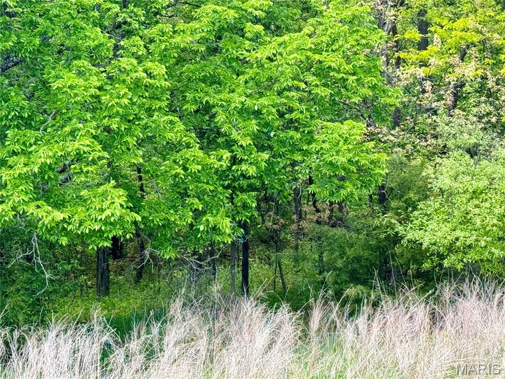 153 +/- Ac Aspen Drive Property Photo 32