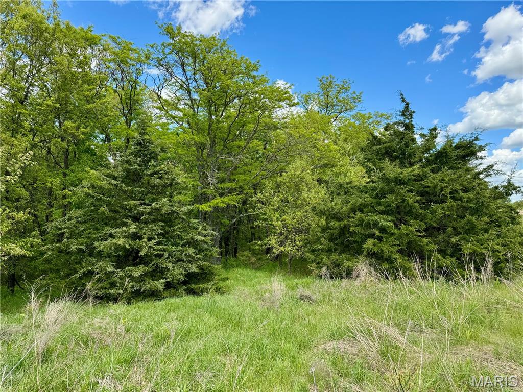 153 +/- Ac Aspen Drive Property Photo 33
