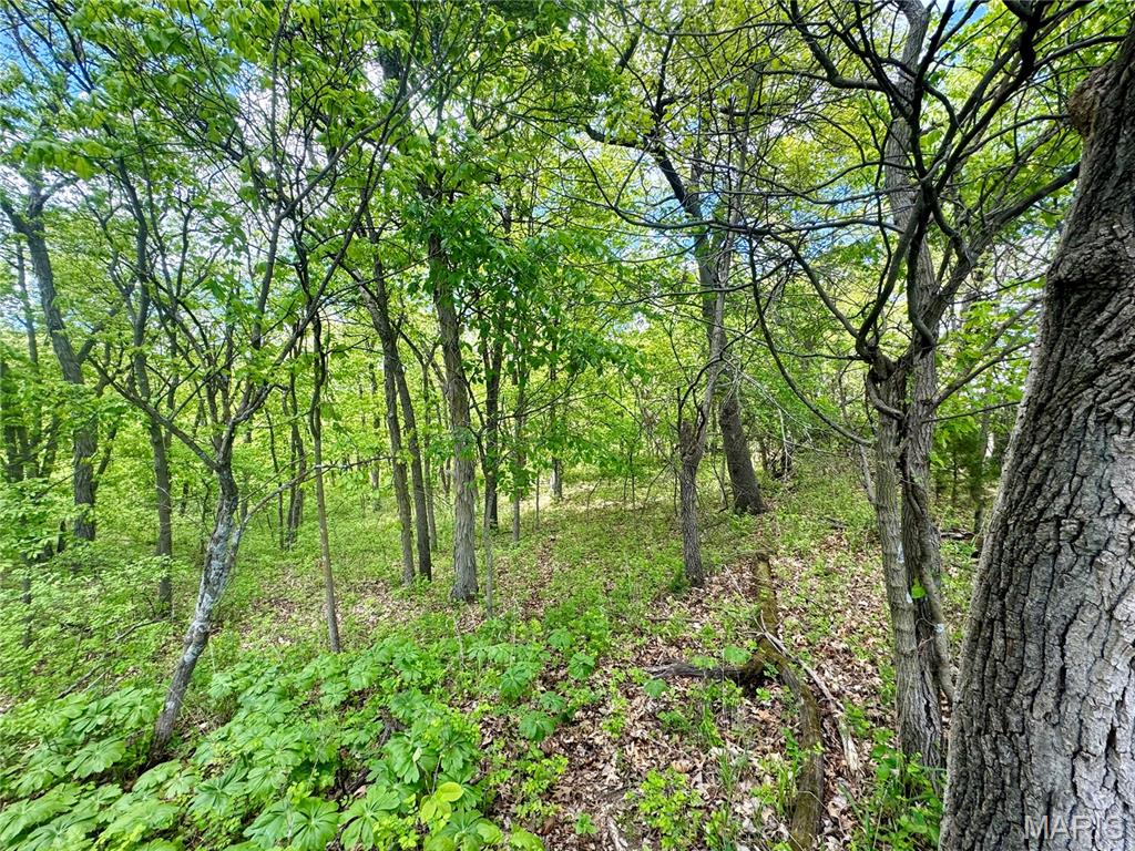 153 +/- Ac Aspen Drive Property Photo 34