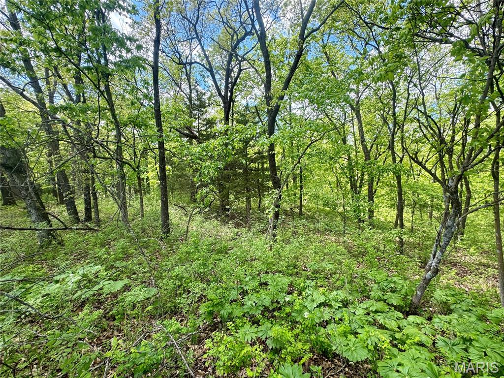 153 +/- Ac Aspen Drive Property Photo 35