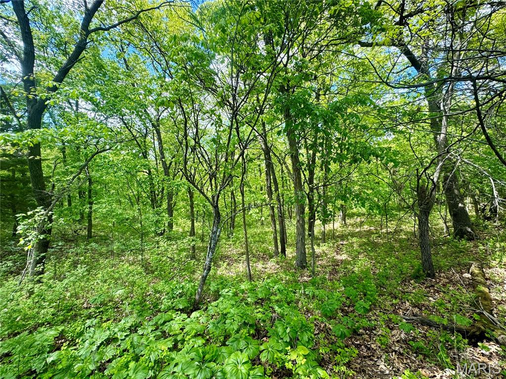 153 +/- Ac Aspen Drive Property Photo 36
