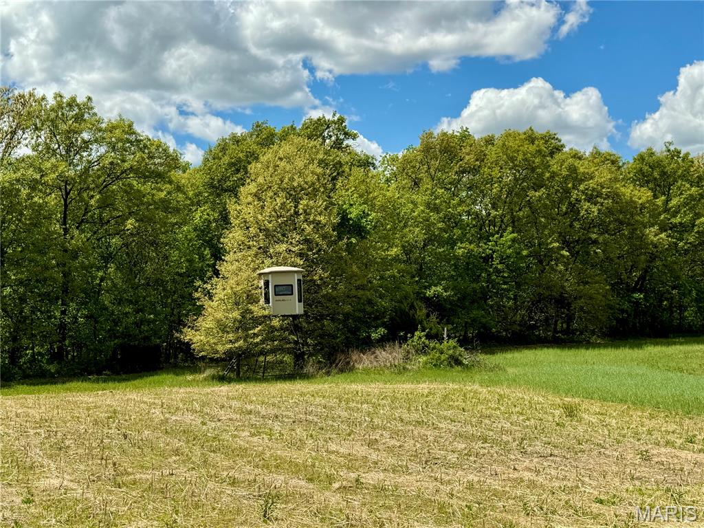 153 +/- Ac Aspen Drive Property Photo 38