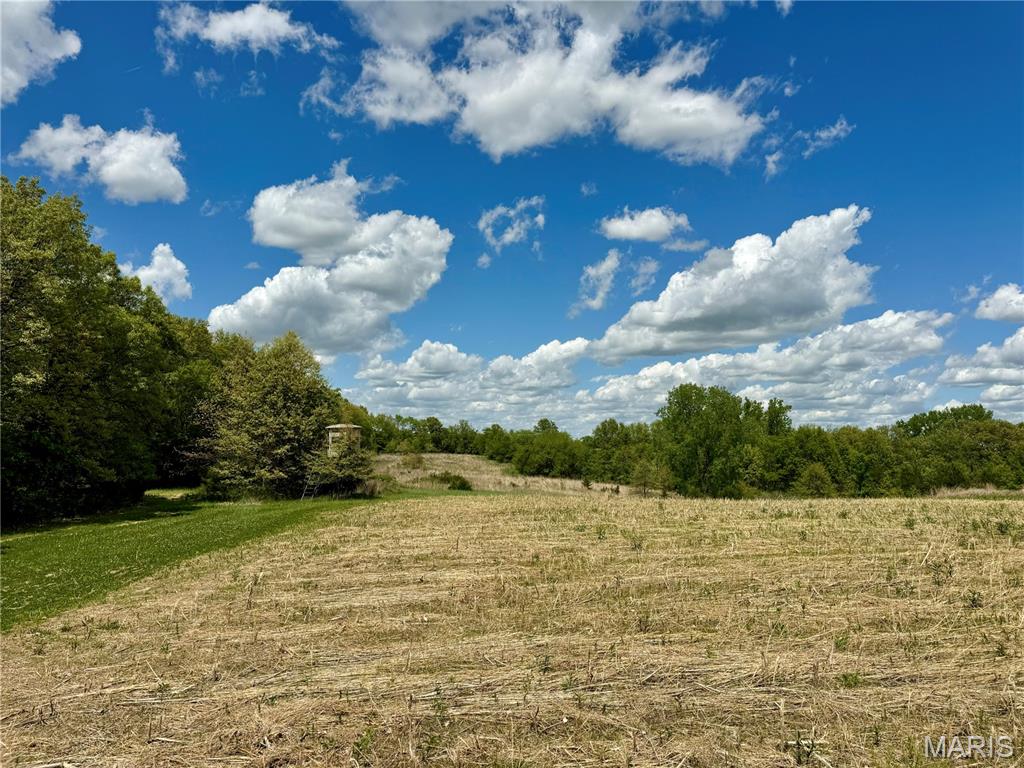 153 +/- Ac Aspen Drive Property Photo 39