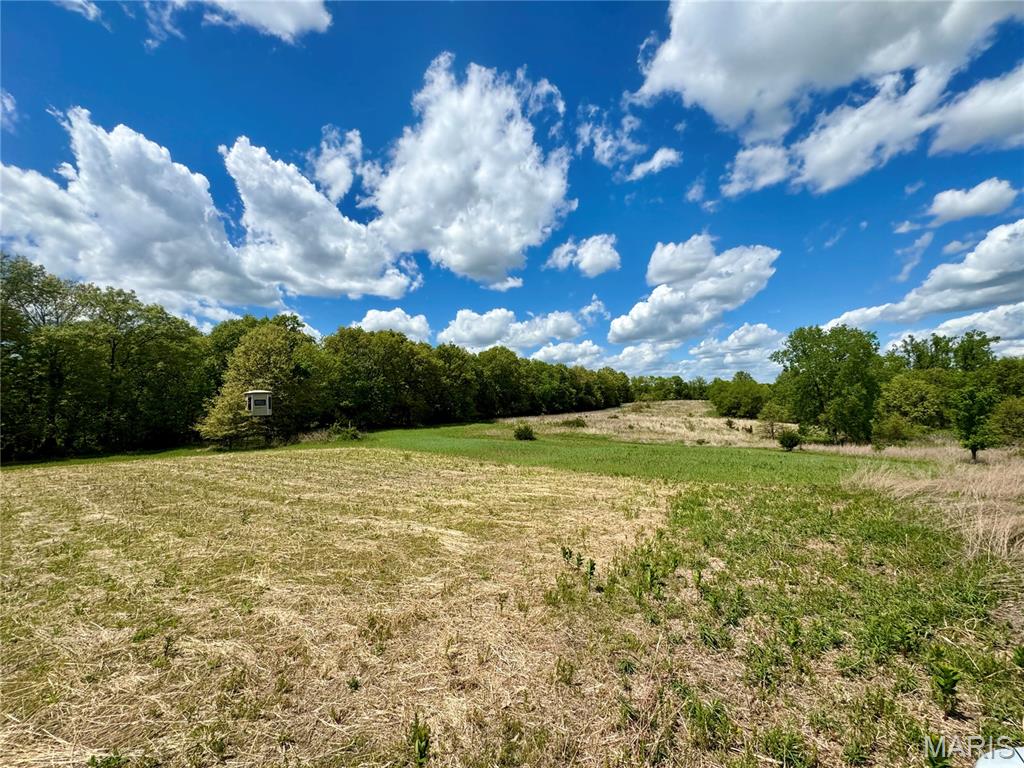 153 +/- Ac Aspen Drive Property Photo 41