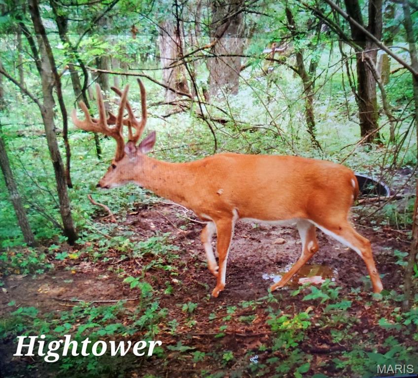 153 +/- Ac Aspen Drive Property Photo 43