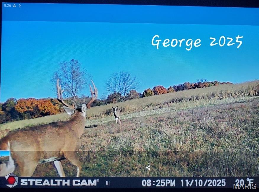 153 +/- Ac Aspen Drive Property Photo 44