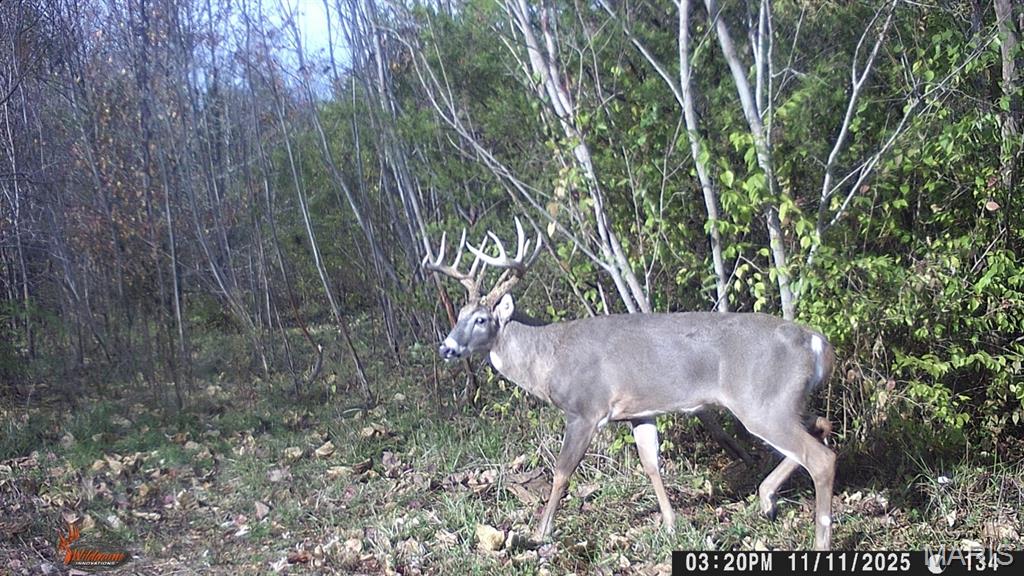 153 +/- Ac Aspen Drive Property Photo 47