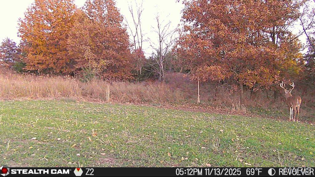 153 +/- Ac Aspen Drive Property Photo 48