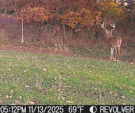 153 +/- Ac Aspen Drive Property Photo 49